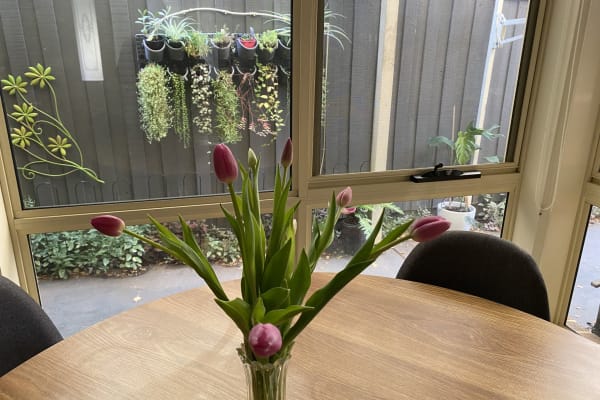 House sit in Melbourne, VIC, Australia