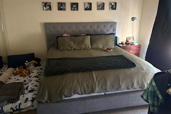 House sit in Tierrasanta, CA, US