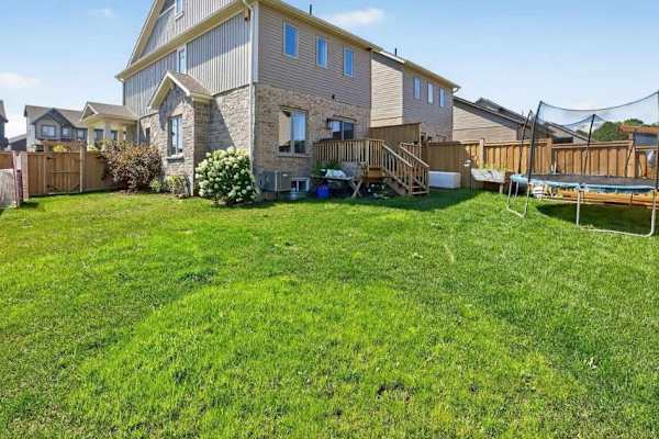 House sit in Collingwood, ON, Canada