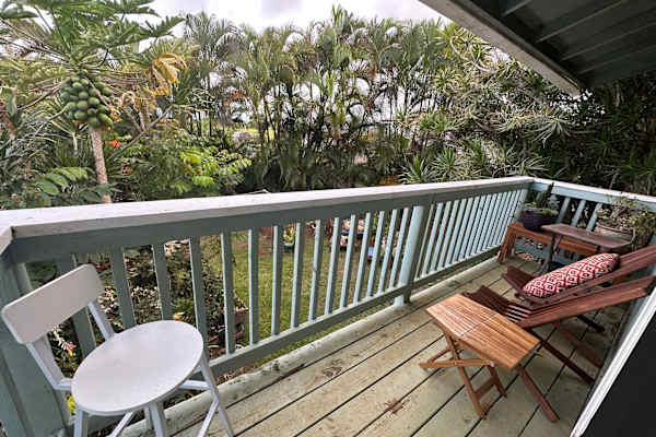 House sit in Kapa‘a, HI, US