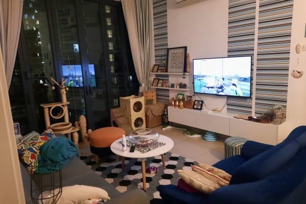 House sit in Kuala Lumpur, Malaysia