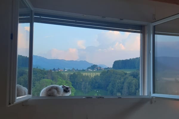 House sit in Fribourg, Switzerland