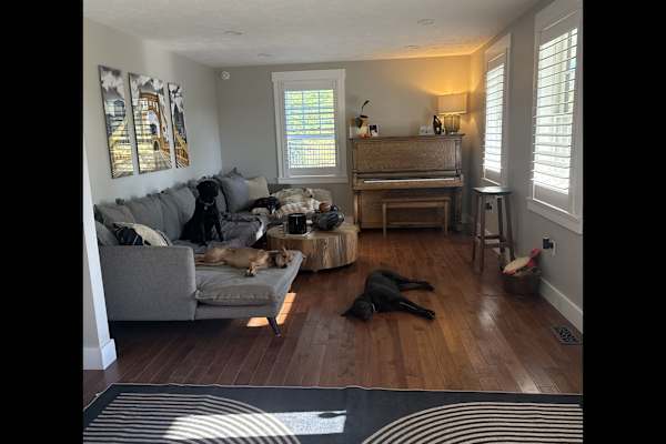 House sit in Pittsburgh, PA, US