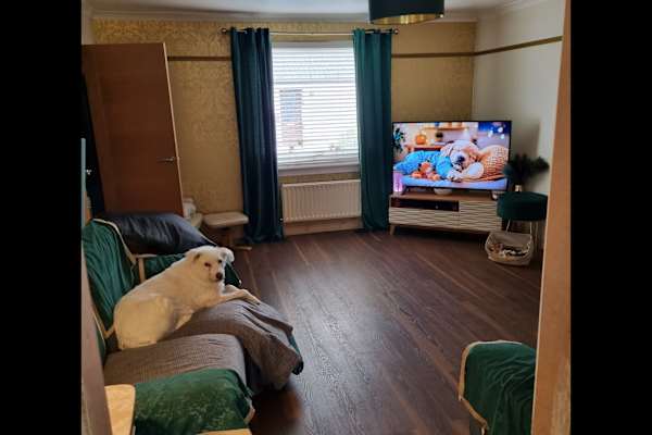 House sit in Hamilton, United Kingdom