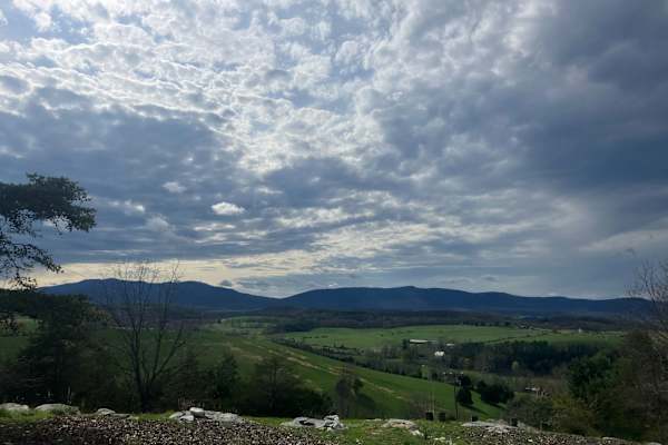 House sit in Staunton, VA, US