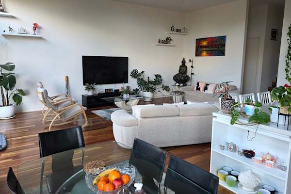 House sit in Forest Hill, VIC, Australia