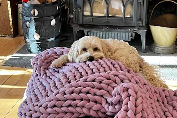 House sit in Highmount, NY, US