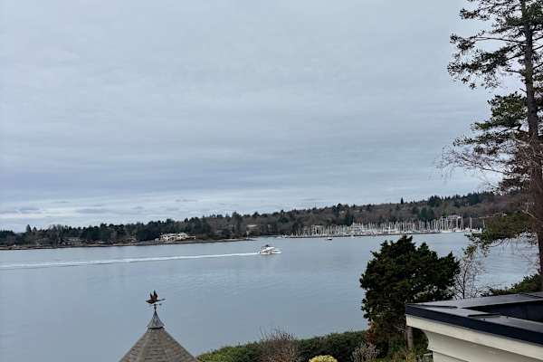 House sit in Victoria, BC, Canada