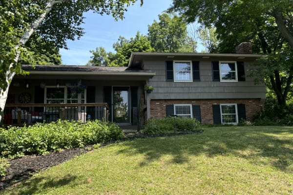 House sit in Rochester, NY, US