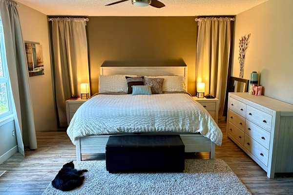 House sit in Calgary, AB, Canada