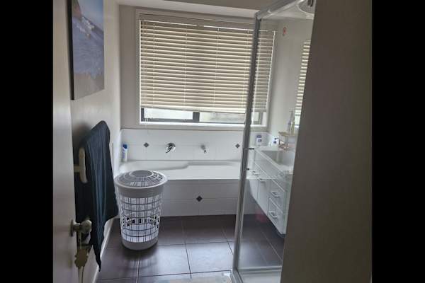 House sit in Hamilton, New Zealand