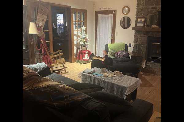 House sit in Colorado Springs, CO, US