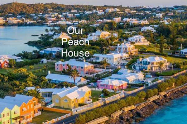 House sit in Hamilton, Bermuda