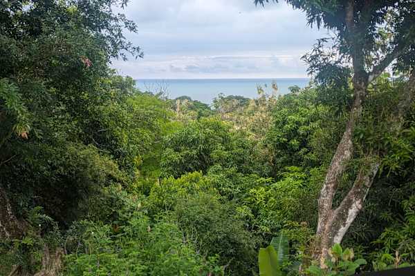 House sit in Uvita, Costa Rica