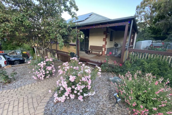 House sit in Bungendore, NSW, Australia