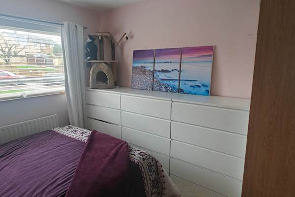 House sit in Whitehaven, United Kingdom