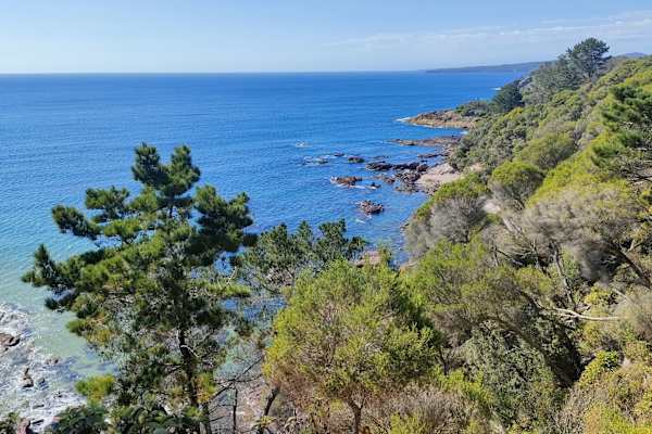 House sit in Bermagui, NSW, Australia