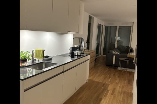 House sit in Zürich, Switzerland