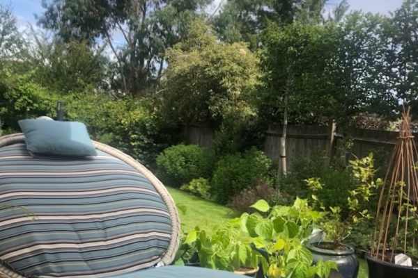 House sit in Harpenden, United Kingdom