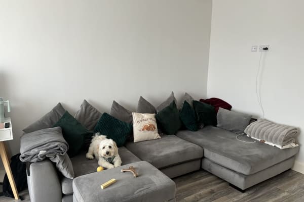 House sit in Newtownmountkennedy, Ireland