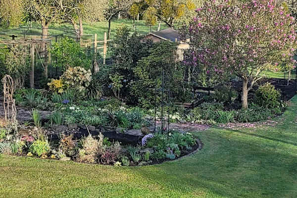 House sit in West Pennard, United Kingdom