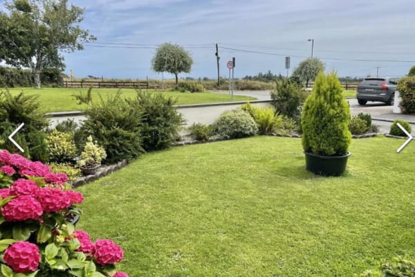 House sit in Dungarvan, Ireland