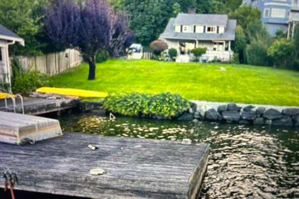 House sit in Mercer Island, WA, US