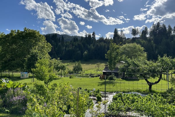 House sit in Nelson, BC, Canada