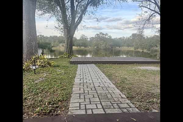 House sit in Tampa, FL, US