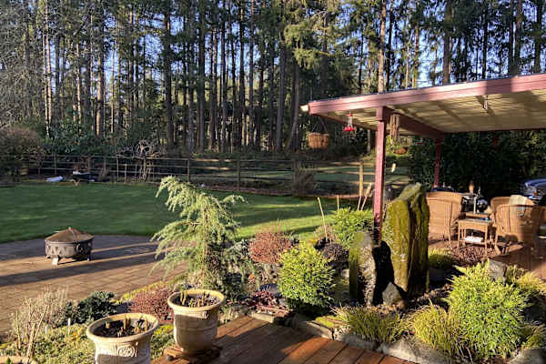 House sit in Olympia, WA, US