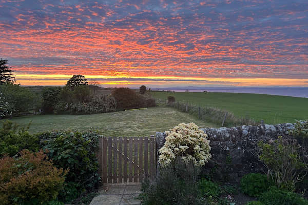 House sit in Saint Andrews, United Kingdom