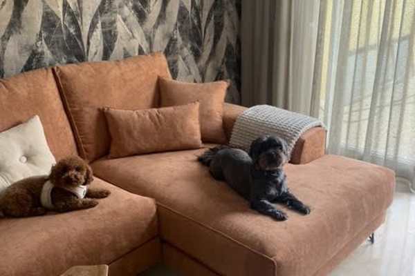 House sit in Estepona, Spain