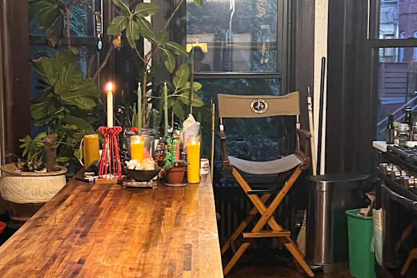 House sit in Brooklyn, NY, US
