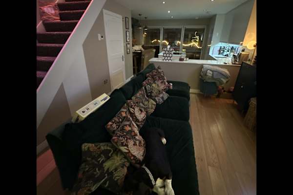 House sit in Edinburgh, United Kingdom