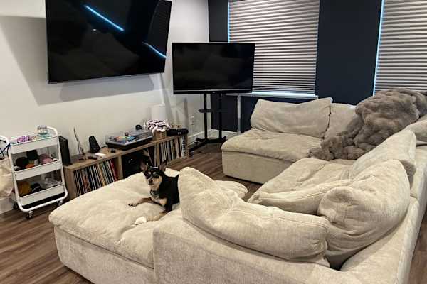 House sit in Lakewood, CO, US