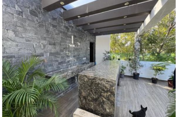 House sit in Monterrey, Mexico