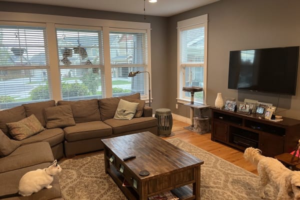 House sit in Bozeman, MT, US