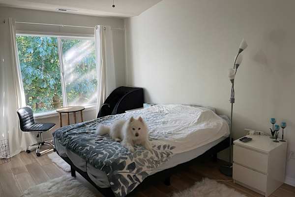 House sit in Portland, OR, US