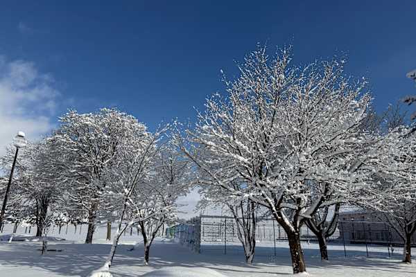 House sit in Asahikawa, Japan