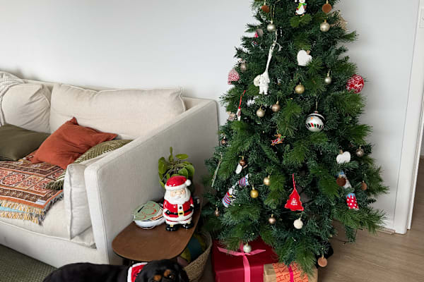 House sit in Melbourne, VIC, Australia