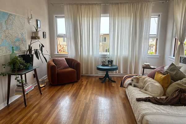 House sit in San Diego, CA, US