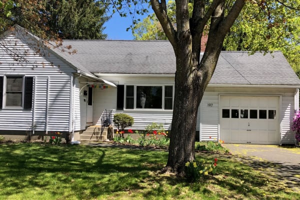 House sit in Northampton, MA, US