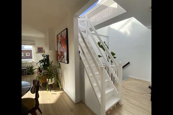 House sit in Amsterdam, Netherlands