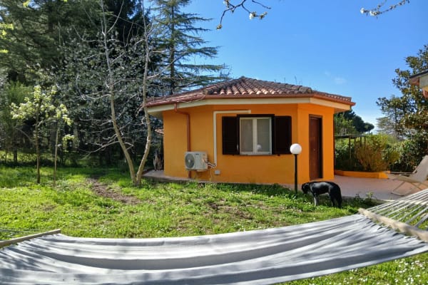 House sit in Rocca Priora, Italy