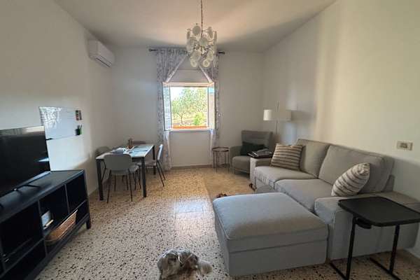 House sit in Caltagirone, Italy
