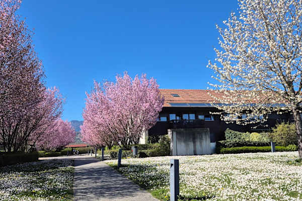 House sit in Genève, Switzerland