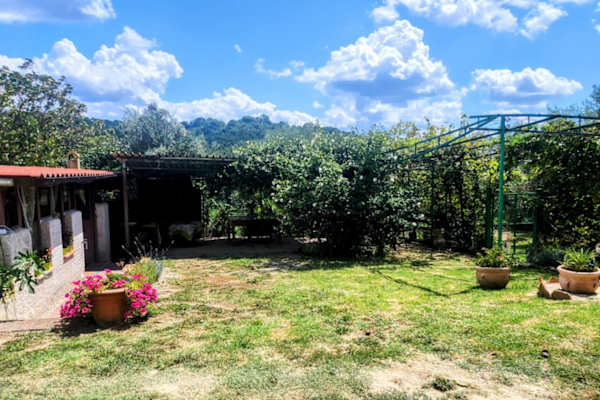 House sit in Amelia, Italy