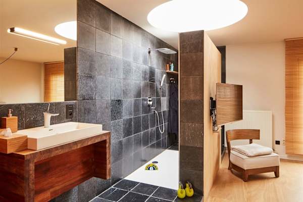 House sit in Antwerpen, Belgium