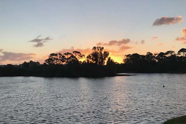 House sit in Jensen Beach, FL, US