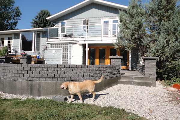 House sit in Lethbridge, AB, Canada